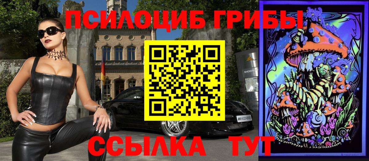 Галлюциногенные грибы Psilocybine cubensis  Псилоцибиновые грибы Psilocybe  Дятьково  Вход с VPN 